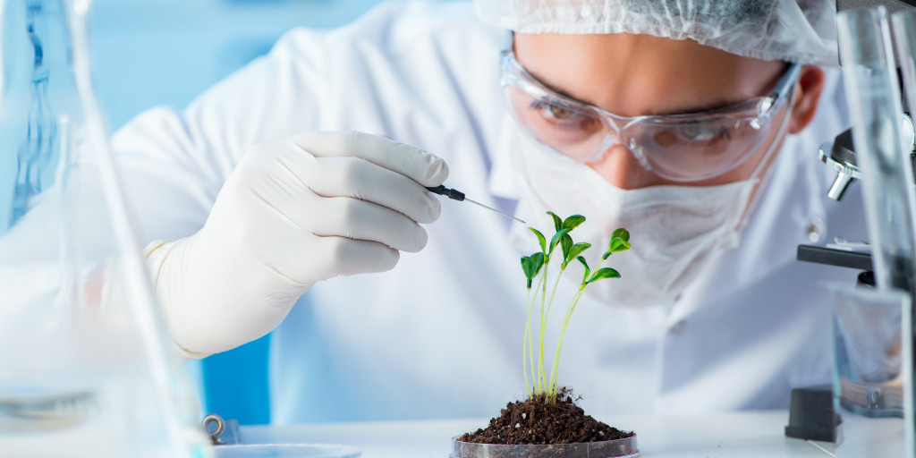 Biotecnologia: Impulsionando o Futuro da Tecnologia A biotecnologia, uma das áreas mais inovadoras e promissoras da ciência, tem revolucionado inúmeros setores, desde a medicina até a agricultura. Utilizando organismos vivos e processos biológicos para desenvolver produtos e tecnologias que melhoram a vida humana, a biotecnologia é um campo em constante evolução que promete transformar o futuro de maneiras inimagináveis. O Que é Biotecnologia? Biotecnologia é um campo multidisciplinar que combina biologia, química, física, engenharia e ciência da computação para manipular organismos vivos ou suas partes para criar produtos e processos úteis. A biotecnologia moderna começou a tomar forma nas décadas de 1970 e 1980 com a descoberta da engenharia genética, que permite a modificação do DNA de organismos para alcançar objetivos específicos. Aplicações da Biotecnologia Medicina e Saúde Na medicina, a biotecnologia tem desempenhado um papel crucial no desenvolvimento de novos tratamentos e medicamentos. A terapia gênica, por exemplo, permite a correção de genes defeituosos que causam doenças genéticas. Outro avanço significativo é a produção de anticorpos monoclonais, que são utilizados no tratamento de câncer e outras doenças autoimunes. Além disso, a biotecnologia tem contribuído para a criação de vacinas mais eficazes e seguras. A vacina contra a COVID-19, desenvolvida em tempo recorde, é um exemplo notável de como a biotecnologia pode responder rapidamente a crises de saúde globais. Agricultura e Alimentos No setor agrícola, a biotecnologia tem ajudado a aumentar a produtividade e a sustentabilidade das culturas. Plantas geneticamente modificadas (OGMs) são desenvolvidas para resistir a pragas, doenças e condições climáticas adversas. Isso não só aumenta a eficiência da produção agrícola, mas também reduz a necessidade de pesticidas químicos, contribuindo para a proteção ambiental. A biotecnologia também está sendo usada para melhorar o valor nutricional dos alimentos. Pesquisas estão em andamento para desenvolver culturas que forneçam quantidades maiores de vitaminas e minerais essenciais, ajudando a combater a desnutrição em regiões carentes. Meio Ambiente A biotecnologia ambiental, também conhecida como biotecnologia verde, está focada em desenvolver soluções para problemas ambientais. Microrganismos geneticamente modificados são utilizados para limpar derramamentos de óleo e despoluir águas contaminadas. Além disso, a biotecnologia está sendo explorada para desenvolver biocombustíveis, que são alternativas mais limpas aos combustíveis fósseis tradicionais. Desafios e Considerações Éticas Apesar dos muitos benefícios, a biotecnologia também enfrenta desafios significativos. Questões éticas e de segurança estão no centro das discussões sobre o uso de organismos geneticamente modificados. Há preocupações sobre os impactos a longo prazo no meio ambiente e na saúde humana, bem como sobre a ética da modificação genética em seres humanos. Outro desafio é a acessibilidade. Muitas tecnologias biotecnológicas avançadas são caras e não estão disponíveis para populações de baixa renda. É fundamental encontrar maneiras de democratizar o acesso às inovações biotecnológicas para que seus benefícios possam ser amplamente distribuídos. O Futuro da Biotecnologia O futuro da biotecnologia é repleto de possibilidades empolgantes. Áreas emergentes, como a biologia sintética, estão abrindo novas fronteiras. A biologia sintética envolve a engenharia de organismos para executar funções que não ocorrem naturalmente. Isso pode levar ao desenvolvimento de novos medicamentos, materiais e tecnologias que ainda não podemos imaginar. Outra área promissora é a edição de genes com a tecnologia CRISPR. Esta técnica permite a edição precisa de sequências de DNA, oferecendo o potencial de corrigir doenças genéticas e melhorar características desejáveis em organismos. A CRISPR está sendo explorada para aplicações que vão desde a cura de doenças até a modificação de culturas para resistir a mudanças climáticas. Considerações Finais A biotecnologia tem o potencial de transformar praticamente todos os aspectos de nossas vidas. Suas aplicações em saúde, agricultura e meio ambiente estão apenas começando a ser exploradas. No entanto, é crucial abordar os desafios e questões éticas associados a essa poderosa tecnologia. A colaboração entre cientistas, governos e a sociedade civil será fundamental para garantir que a biotecnologia seja usada de maneira responsável e benéfica. À medida que avançamos para um futuro cada vez mais tecnológico, a biotecnologia estará na vanguarda das inovações que moldarão nosso mundo. A promessa de curar doenças, alimentar uma população crescente e proteger nosso meio ambiente torna a biotecnologia uma das áreas mais empolgantes e importantes da ciência moderna.